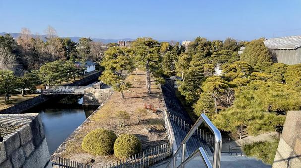 庭園 庭園 二条城,庭園,中庭の写真素材