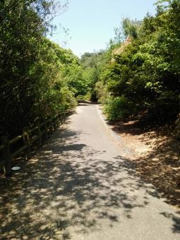 山道 山道の写真