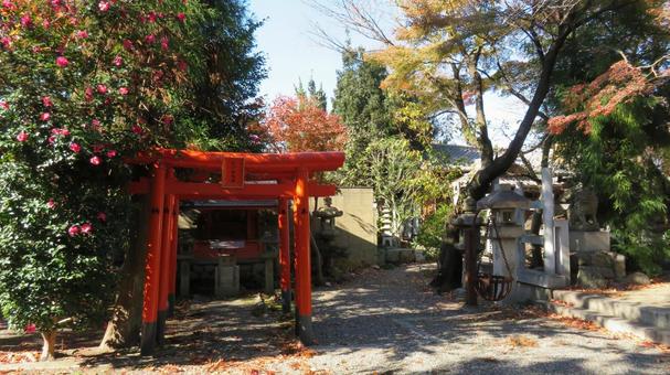 天武天皇社 境内の風景 天武天皇社 境内の風景 天武天皇社,天武天皇,大海人皇子の写真素材