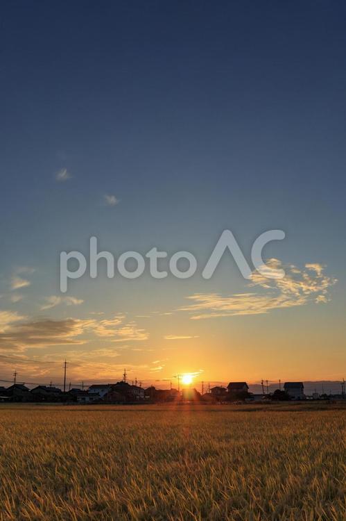 田んぼと夕日 そら,夕焼け,夕方の写真素材