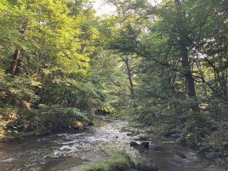川 川の写真