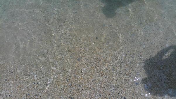 夏の海辺 夏の海辺の写真
