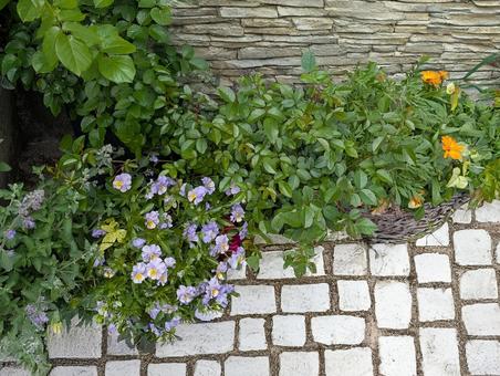 Spring flower bed, JPG Spring flower bed, JPG
