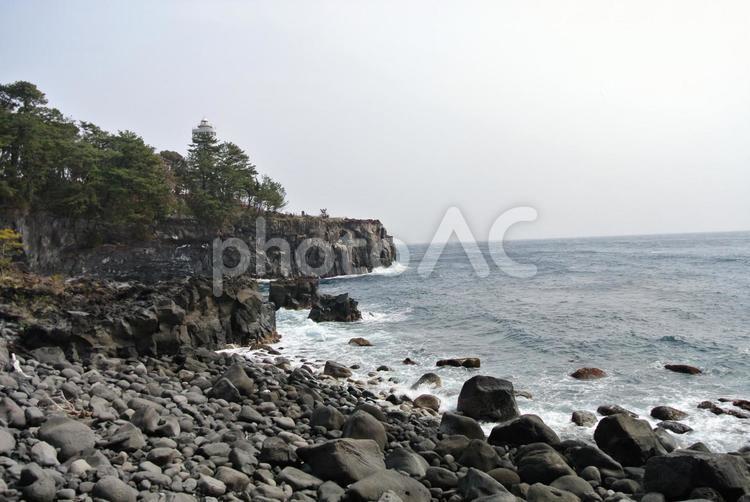 静岡県伊東市の城ヶ崎海岸2 伊東市,国立公園,城ヶ崎海岸の写真素材