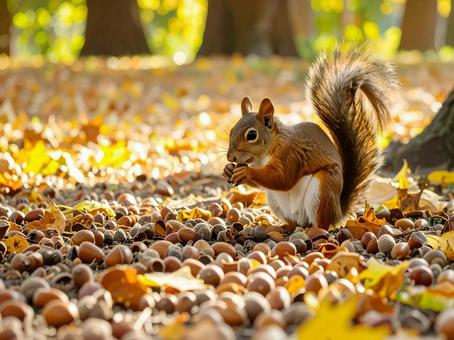 リス リスの写真