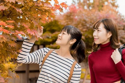 旅行イメージ 旅行イメージ 女性,人物,日本人の写真素材