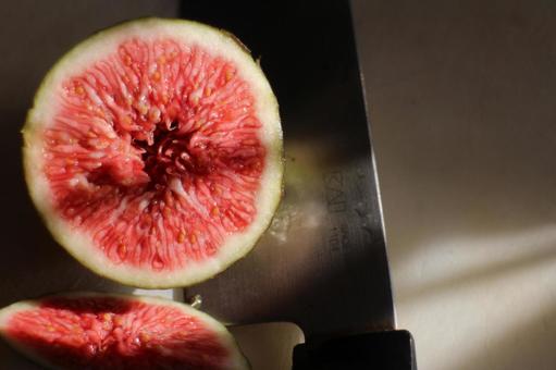 自家製いちじく　その３ 植物,無花果,甘いの写真素材