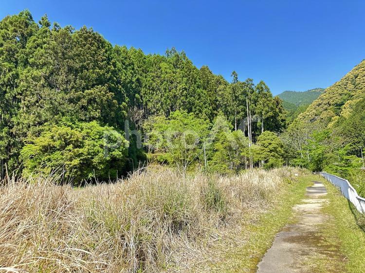 高田地区　河川敷　田舎　里山 高田川付近,河川敷,田舎の写真素材