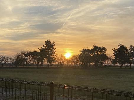 森の先 森の先 夕日,景色,綺麗の写真素材