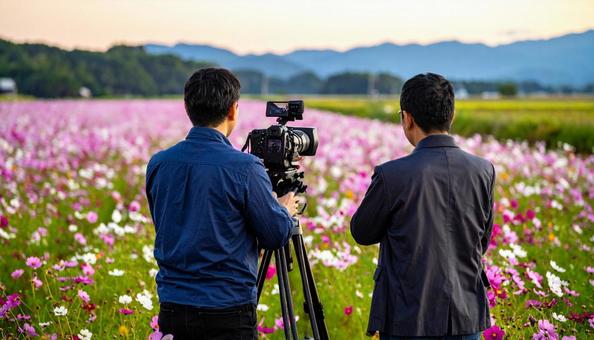 コスモス畑を撮影するテレビ局のスタッフ コスモス畑を撮影するテレビ局のスタッフの写真