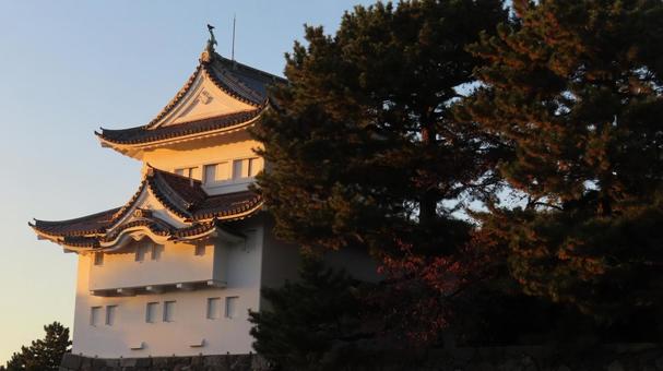 名古屋城　本丸　西南隅櫓　夕映え 名古屋城,尾張徳川家,御三家の写真素材