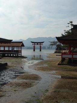 厳島神社 厳島神社,広島,観光名所の写真素材