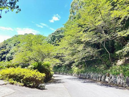 那智勝浦町湯川近辺の風景 那智勝浦町湯川近辺の風景の写真