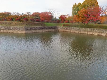 五稜郭　紅葉 11月,秋,五稜郭の写真素材