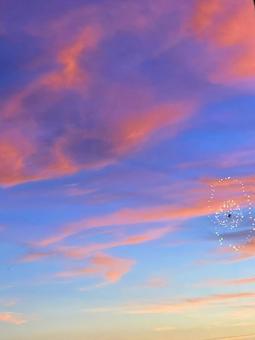 Fireworks in the summer evening sky, JPG