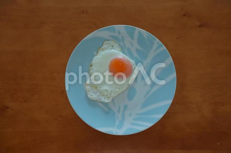 完璧な目玉焼き 何人もありません,卵,フードの写真素材
