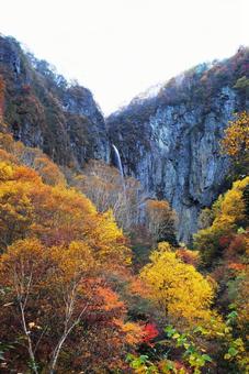 Photo, shinshu, suzaka, yonago waterfall, 