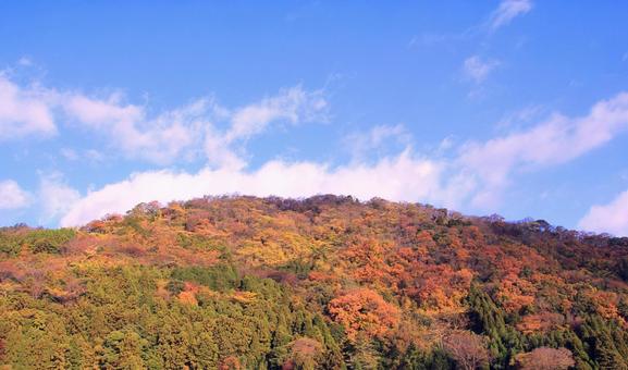 山の秋の風景・紅葉 山の秋の風景・紅葉 紅葉,山,秋の写真素材