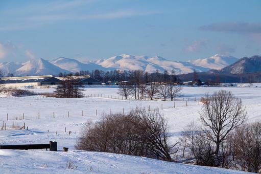 冬の牧場と然別の山々 冬の牧場と然別の山々 牧場,青空,雪山の写真素材