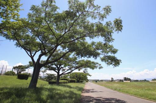 雁の巣レクリエーションセンター 雁の巣レクリエーションセンター 雁の巣レクリエーションセンター,fukuoka,福岡の写真素材
