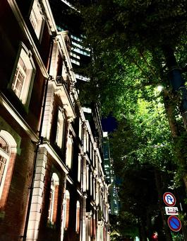 東京の夜 東京の夜の写真