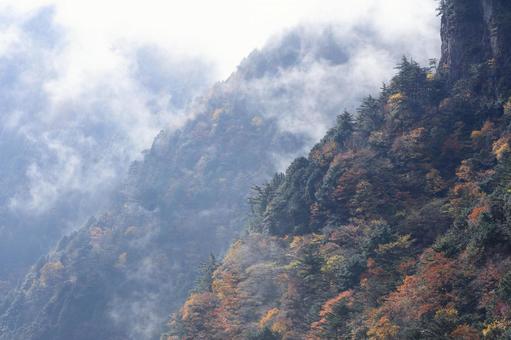 雨上がりの天川村みたらい渓谷　紅葉 みたらい渓谷,天川村,秋の写真素材