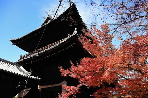 南禅寺の秋 紅葉,秋,もみじの写真素材