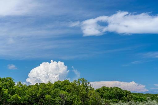入道雲と青空と緑の森 入道雲と青空と緑の森の写真
