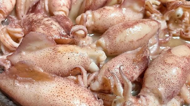 イカのバター焼き イカのバター焼き イカ,食事,食べものの写真素材