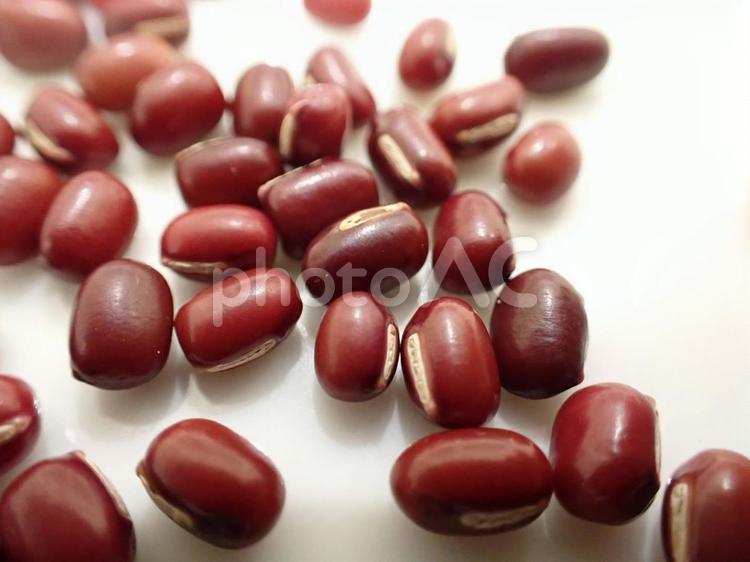 北海道産の小豆 小豆,北海道産,豆の写真素材