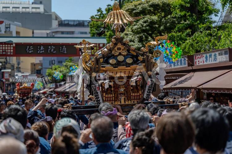 三社祭の風景 三社祭,神輿,伝統の写真素材