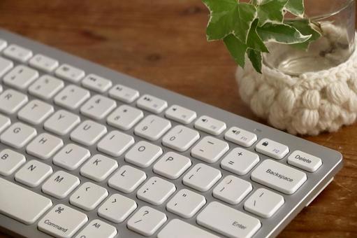 キーボードと観葉植物 デスクワーク,キーボード,ワークスペースの写真素材