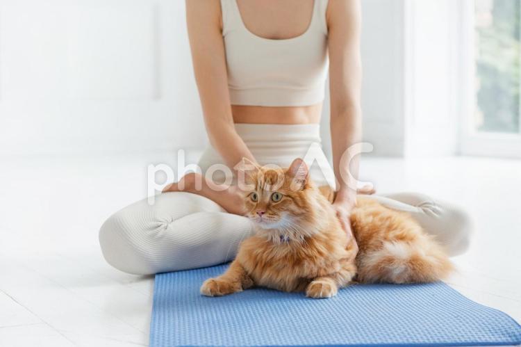 安楽座で猫を撫でる女性 ヨガ,女性,猫の写真素材