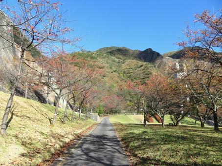 日光市銅親水公園 銅親水公園,公園,風景の写真素材