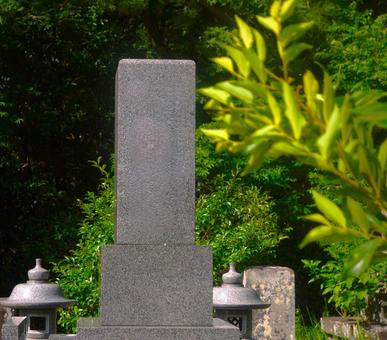 木の葉越しの先祖代々 木の葉越しの先祖代々 墓,墓地,木の葉の写真素材
