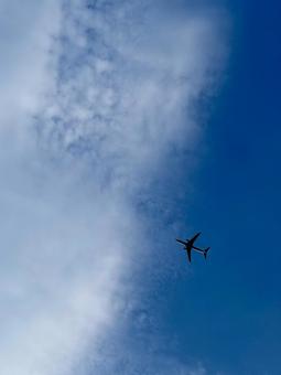 雲に飛び込む飛行機 雲に飛び込む飛行機の写真