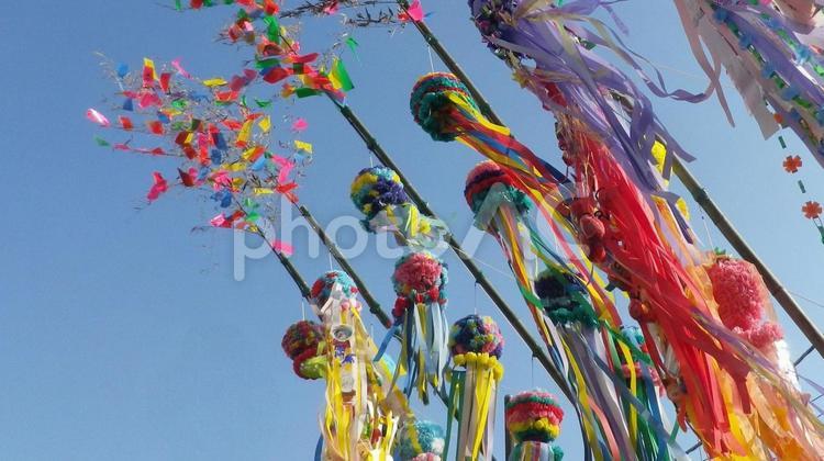 七夕祭り（湘南平塚） 七夕まつり,七夕,七夕祭りの写真素材