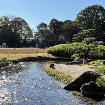 岡山後楽園ーb 岡山後楽園,庭園,観光地の写真素材