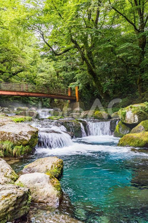 熊本県菊池市【菊池渓谷】7 渓谷,川,光芒の写真素材