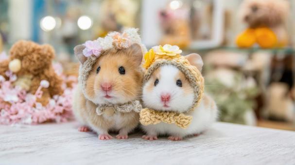 編み物のアクセサリーをつけたハムスター 編み物のアクセサリーをつけたハムスターの写真