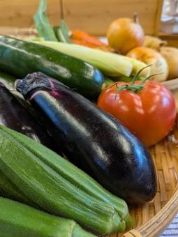 東京・立川産の野菜 東京・立川産の野菜の写真