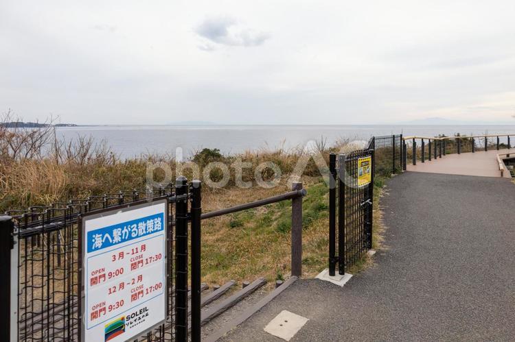 ソレイユの丘キャンプ場の海辺の遊歩道 横須賀市,ソレイユの丘,オートキャンプ場の写真素材