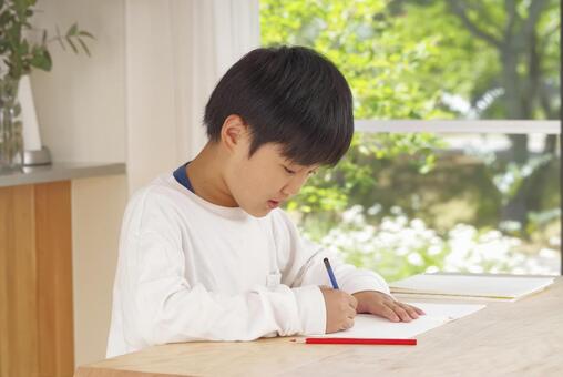 明るいリビングで宿題をする男の子 勉強,学習,宿題の写真素材