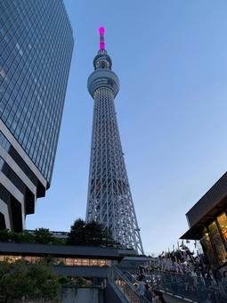 Looking up at the Skytree③, JPG Looking up at the Skytree③, JPG