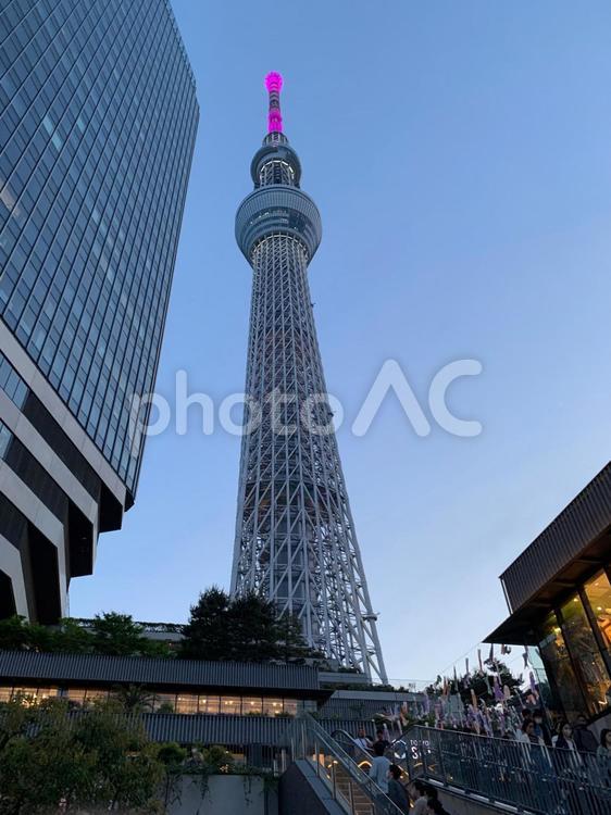 スカイツリーを見上げて③ 東京,景色,スカイツリーの写真素材