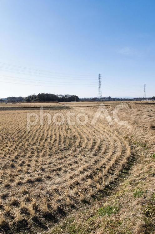 真冬の田んぼ 田んぼ,冬,空の写真素材