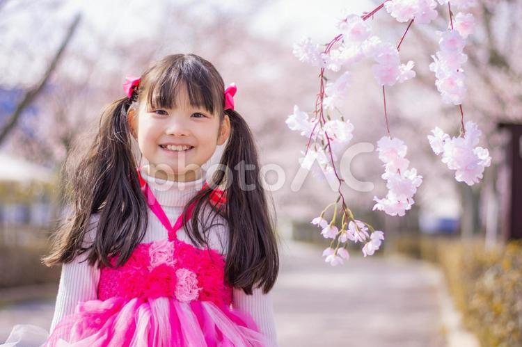 桜とピンクのドレスの女の子 桜,春,笑顔の写真素材
