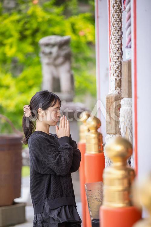 神社で手を合わせる女性　shrine 神社,拝殿,願うの写真素材