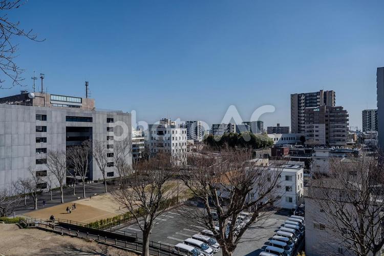 浜松城公園から見た景色 浜松城,浜松城公園,建物の写真素材