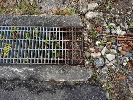 サビた側溝 側溝,側溝蓋,蓋の写真素材